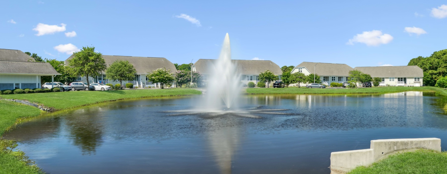 pond