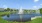 pond